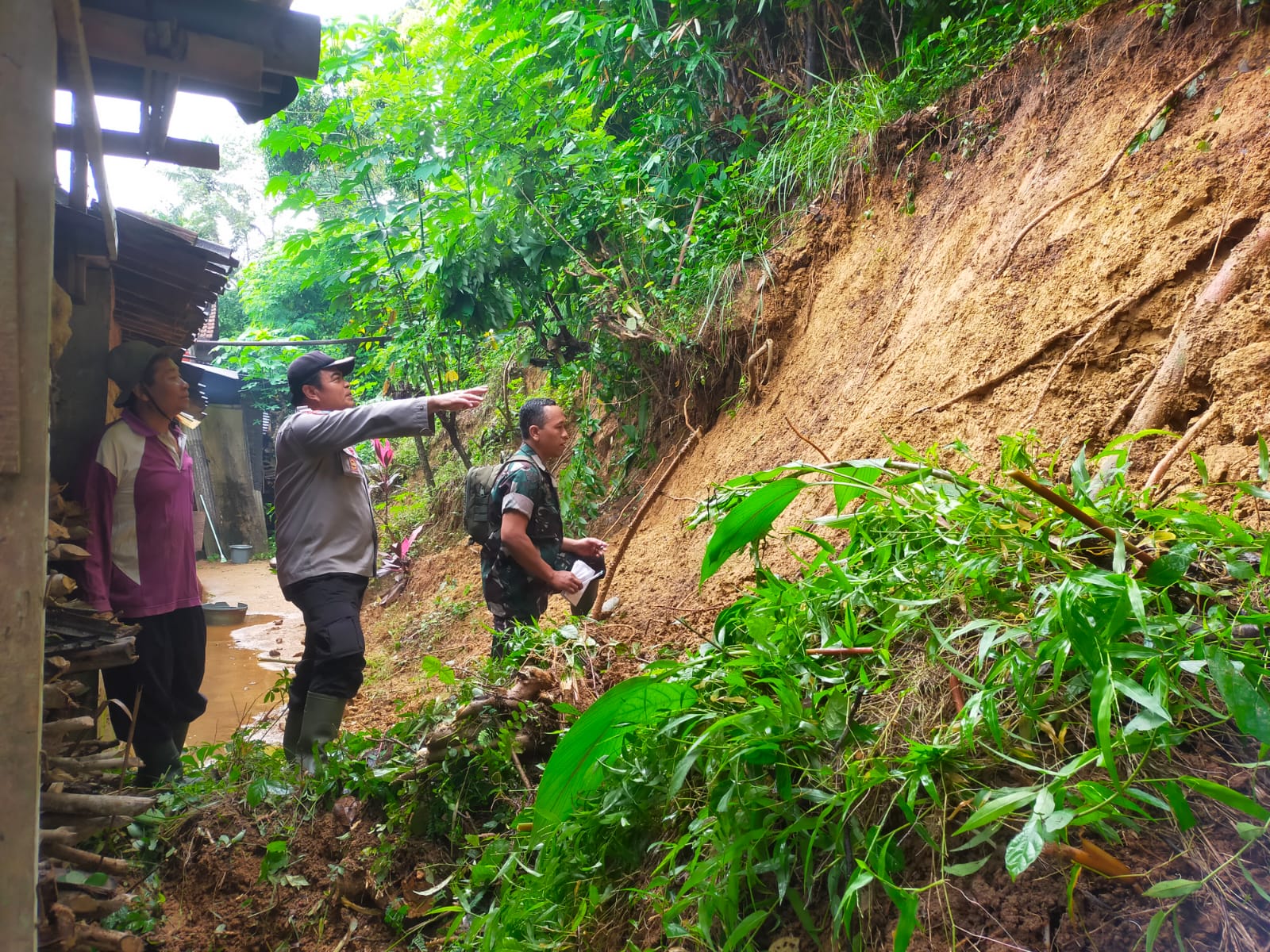 Longsor di Tugu Trenggalek: Tragedi Alam yang Mengancam Keselamatan Warga